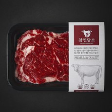 참연담소 국내산 소고기 등심 2등급 바로구이용 (냉장), 1개, 200g