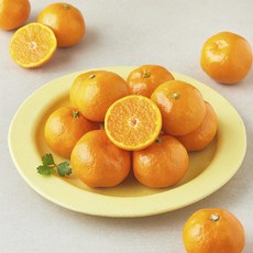 제이드가든 감귤 소과, 1개, 1kg