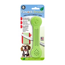 Pet Qwerks Toys 尼龍擴骨玩 Borit 狗瀏覽玩具 L, 薄荷味, 1個