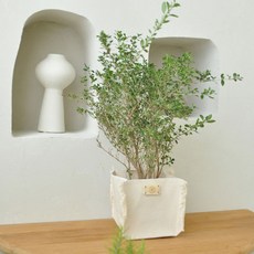 CoTe TaBLe 帆布縫線花盆 018490, L(018490), 1個