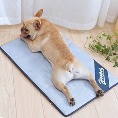 Mampiseu狗狗貓咪涼爽墊, 淺藍