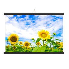 木質掛軸 + 金錢花 A 海報 + 無痕釘套組, 黑色