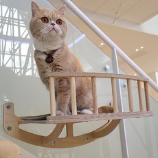 Monello 窗戶貓走道 GO20220, 1個, 炭灰色