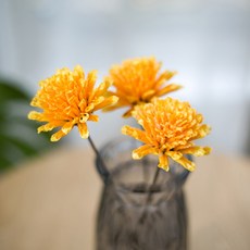 GAPANG 乾燥花 DRYB109 09號, 黃色