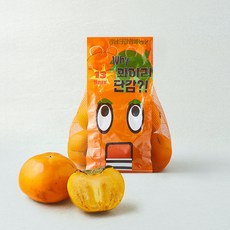 와이리단감 실속 단감 9~10개입, 1개, 1.5kg