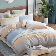 A-ONE 3M吸濕排汗 萊賽爾兩用被套, 里斯