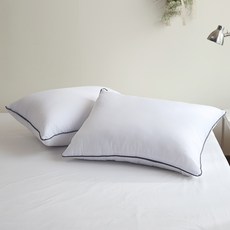 CLITY ROOM 增量炭線 Microfil-ever 拉鍊款枕芯, 白色, 2個