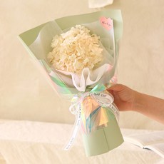 센트바스켓 생화 프리저브드 오로라 수국 꽃다발, 크림
