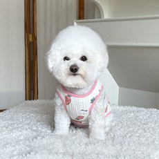 bydamsoomi 狗狗胡蘿蔔熊撞色背心, 粉紅色