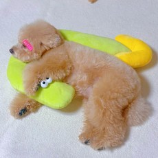 MAAH 寵物箭頭頸枕, 1個, 綠色