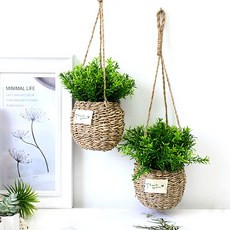 Garden in the City 真迷迭香吊籃配件 2p, 混色