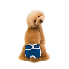 Market A 狗狗簡約素色生理褲 藍色 XL, 1個, 1入