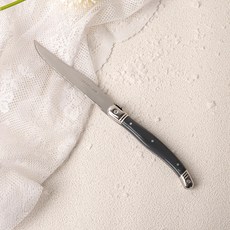 LA CARTUJA Ancre Laguiole 西式晚餐刀 餐刀, 1個, 海軍藍