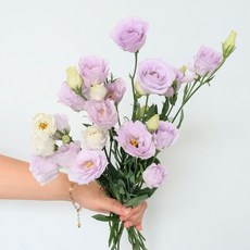 모리앤 생화단 리시안셔스, 연퍼플