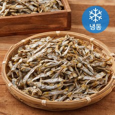 청해명가 고노리 (냉동), 1개, 1.5kg