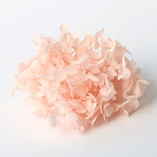 로맨틱노벰버 프리저브드 플라워 수국, 핑크