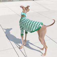 CANICHE 寵物棋盤格圓領針織毛衣, 綠色