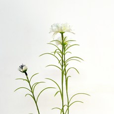 Marsh Marigold 人造迷你康乃馨花枝 69cm 12入, 奶油色
