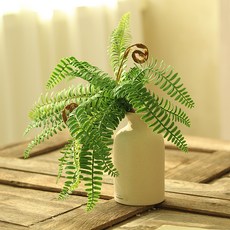 센트바스켓 조화 트로피칼 그린 식물 + 샌드화병 세트, 보스턴, 1세트