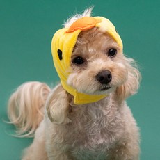 도그아이 강아지 모자 애니멀캡, 병아리, 1개