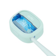 엑토 UVC LED 충전식 휴대용 무선 칫솔 살균기, TBS-02, 민트