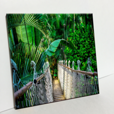 HTP 磁磚 C456 茂密森林的橋