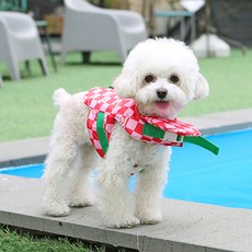 ITS DOG 寵物冰感砰砰救生衣, 1個, 櫻桃炸彈