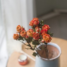 GAPANG 乾花和諧13號, 紅色