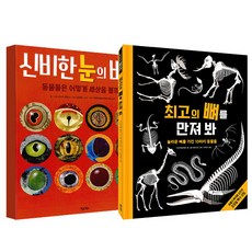 神秘眼睛的秘密+摸摸最好的骨頭, 豆豆