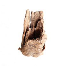 모비딕 그루터기 유목 수조장식, 1개