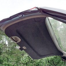 REX.D 車用室內防刮保護套 車門保護套, 起亞, Kia Carnival 第四代 (7/9/11人座)