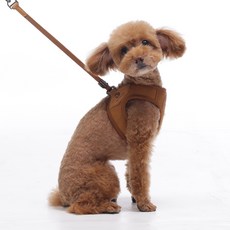 寵物牽繩&Co 寵物簡易扣環X型胸背帶, 棕色, 1個