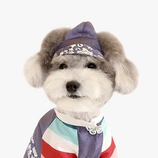 ITS DOG 寵物道潤銀箔福巾韓服, 混合顏色