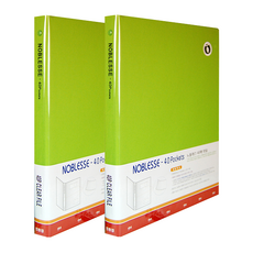 Wiz Office Noble 文件夾 40p, 綠色, 2個