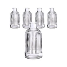 擴香室內裝飾玻璃花瓶 B260-200ML 大 5入, 單一顏色