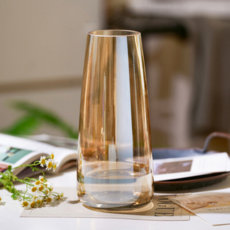 Vivid House 室內裝飾透明玻璃花瓶, 金色