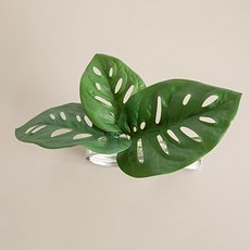 熱帶葉窗簾夾 25cm, 弗里蒙斯, 1個