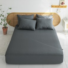 Bassum 防蟎抗敏 無塵單層床墊套