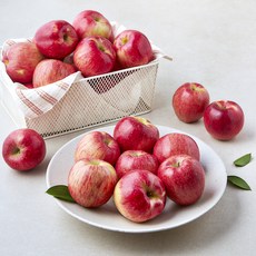 영주마실 못난이 가정용 빨간사과 소과 50~60개입, 9kg, 1박스