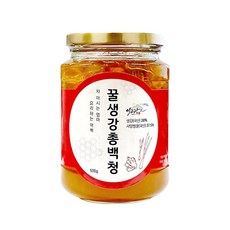 Leegojang food 薑味蜂蜜, 500g, 1罐, 1罐