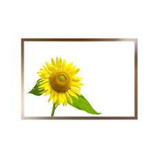 鋁製相框 + 金錢花G海報套組, 古銅色