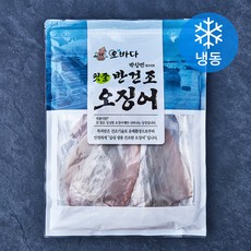 오바다 원양산 반건조오징어 (냉동), 1개, 600g(5미)