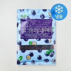 딜라잇가든 와일드 블루베리 (냉동), 1개, 1kg