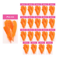 Uniart 鳥羽毛 手工材料 5入, 橘色, 20個