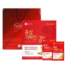 鍾根堂 紅蔘活力能量飲 30入+禮品袋, 2100ml, 1組