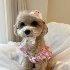 그루밍독 반려동물 데이지 밀짚 모자, 핑크, 1개