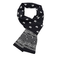 Deep Talk 佩斯利男士領巾