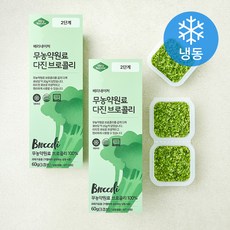 베리네이처 야채큐브 무농약원료가공식품 인증 브로콜리 2단계 (냉동), 60g, 2개