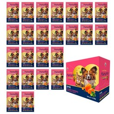 맘앤펫 리얼시리즈 반려동물용 죽, 연어, 100g, 24개