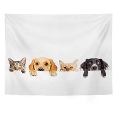 스타 고양이 배경 패브릭 포스터, TYPE 8